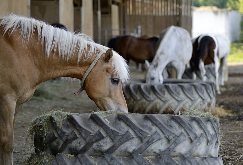 rubbish removal Rubbish clearance
